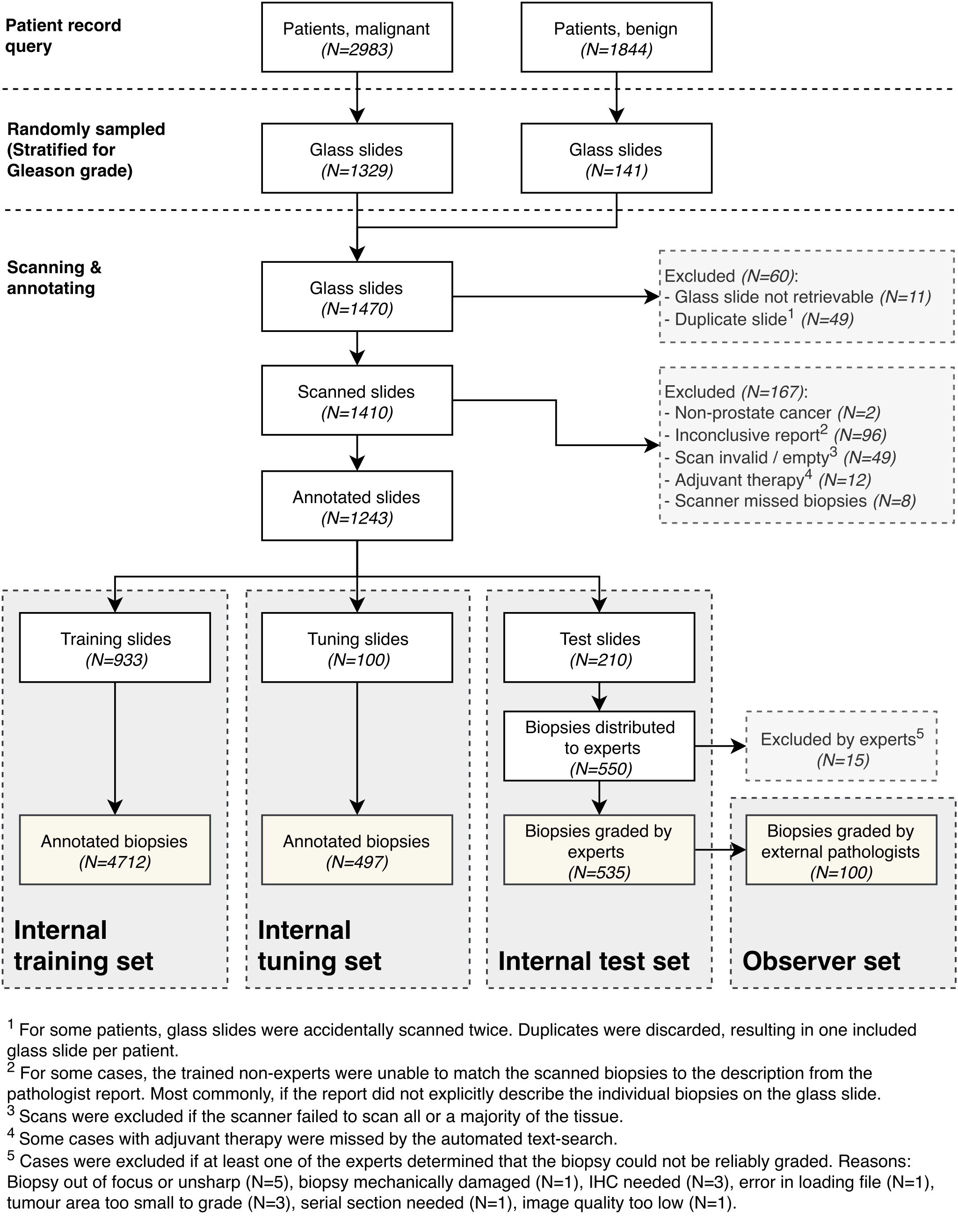 Flowchart of the study design, from 4827 patient records through exclusions down to the internal training (4712 biopsies), tuning (497), test (535), and 100-case observer datasets.