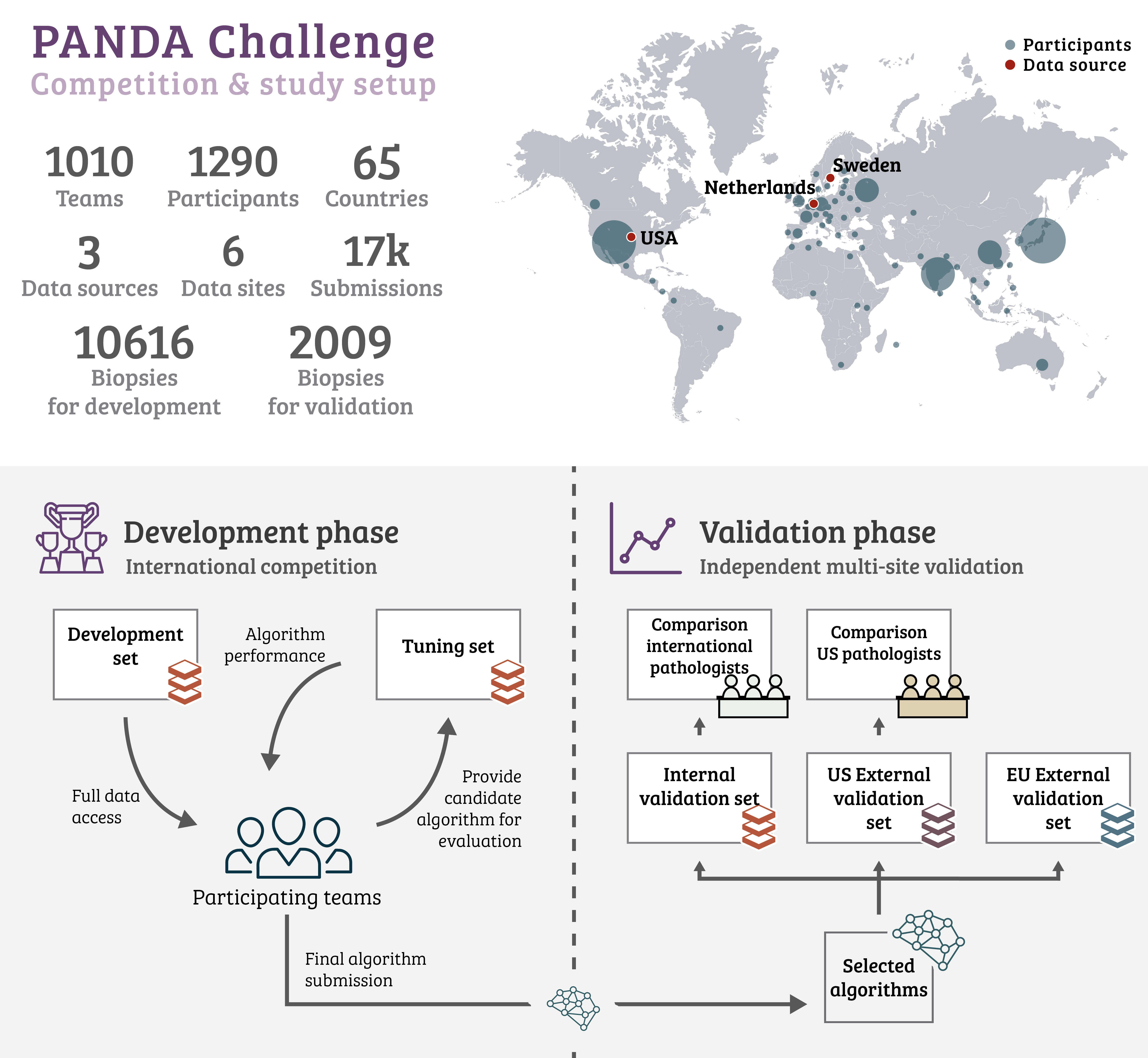 Infographic of the PANDA challenge setup, with headline study numbers, a world map of participant countries and data sources, and a flow diagram of the development phase (teams training on the development set, scored on the tuning set) feeding into the validation phase (selected algorithms run on the internal and external validation sets and compared against pathologist panels).