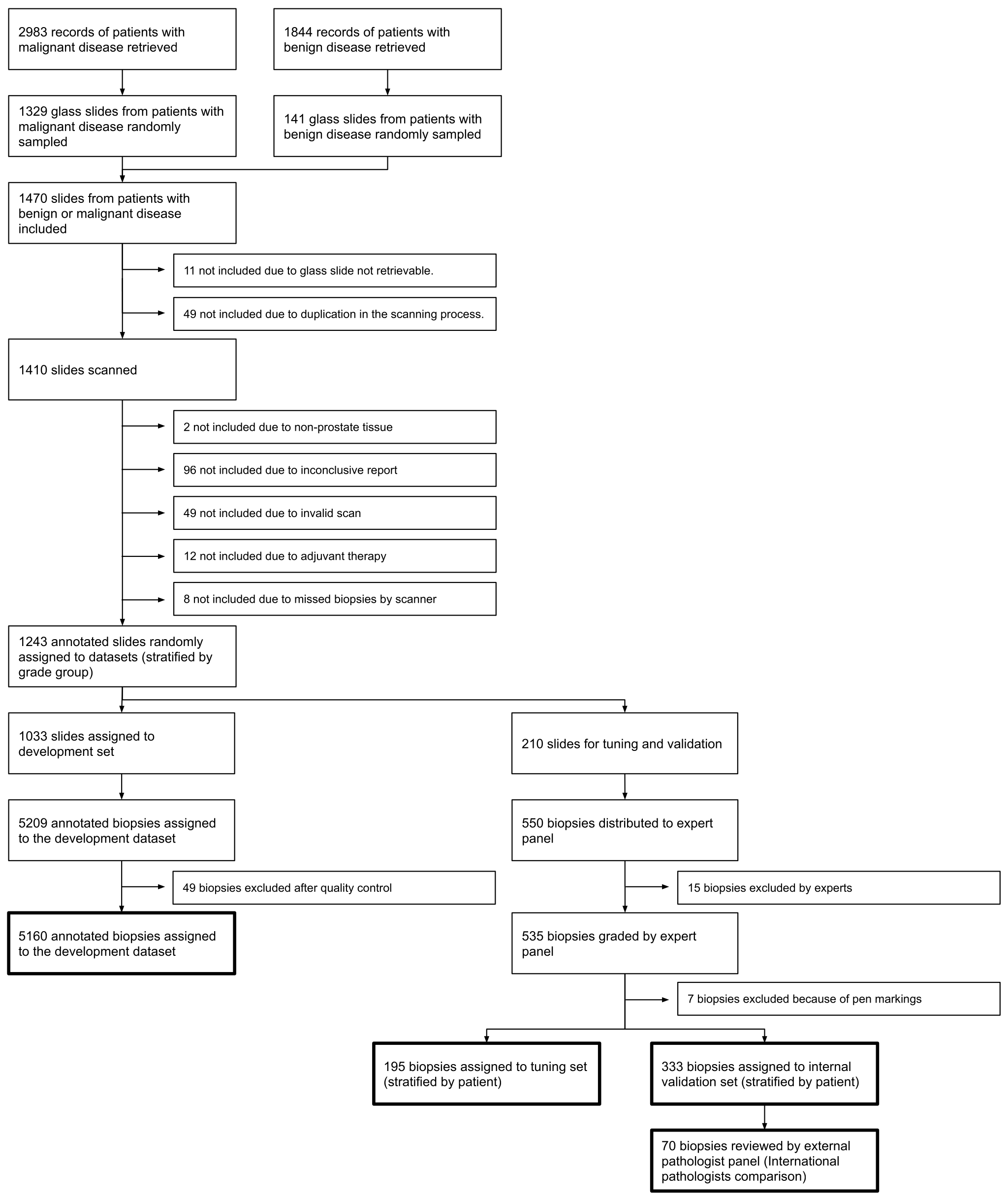 STARD flow chart tracing Radboud biopsy cases from initial pathology-report retrieval through exclusion steps (unretrievable slides, duplicate scans, non-prostate tissue, inconclusive reports, adjuvant therapy, missed biopsies) down to the final development, tuning, internal-validation and international-pathologist-comparison counts.