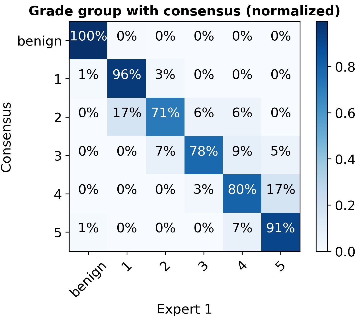 The Expert 1 confusion matrix as row-normalized percentages, 96-100% agreement at the extremes and lower agreement (54-80%) in grade groups 2-4.