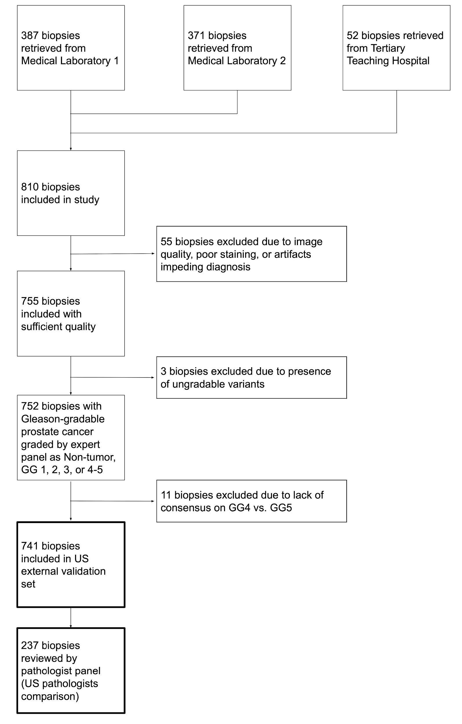 STARD flow chart tracing US biopsies from three source sites through image-quality and ungradable-variant exclusions and a consensus-disagreement exclusion down to the final US external validation set and pathologist-comparison subset.