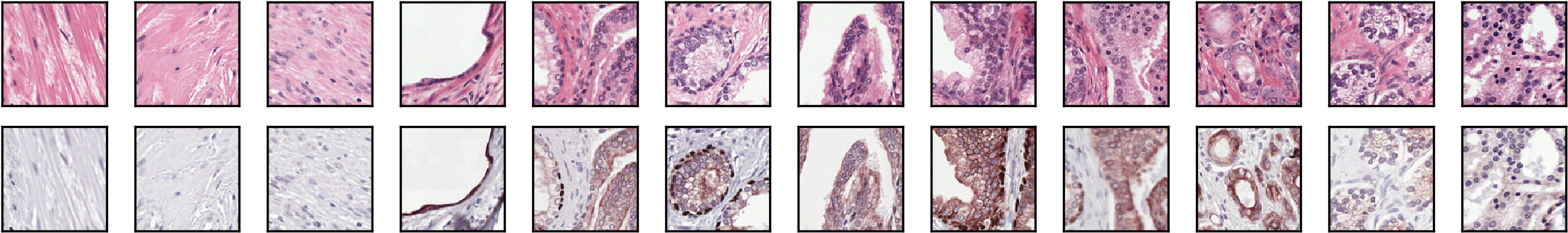 Examples from the dataset.